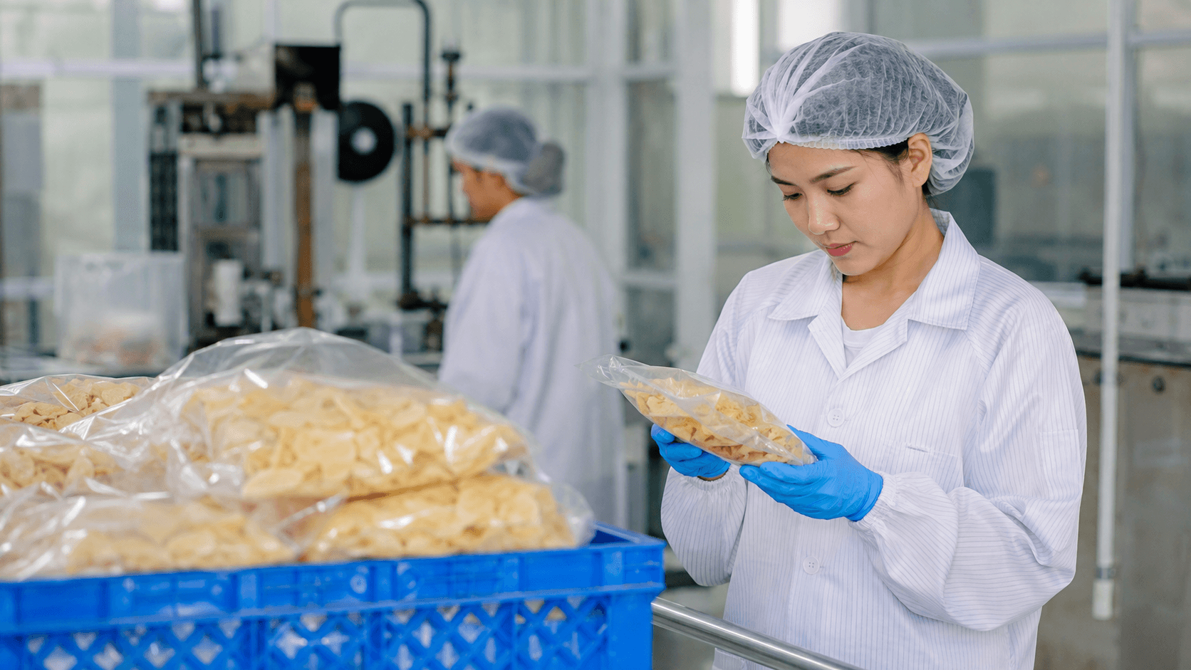 Food Processing PPE Buying Guide: Hygiene, Fit and Order Control - PPEgen practical application and quality-control guide